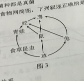 54.png 54.png