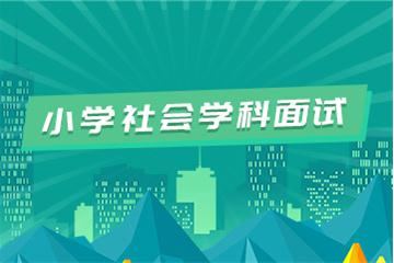 小學教師資格證考試面試視頻教程（社會科學）